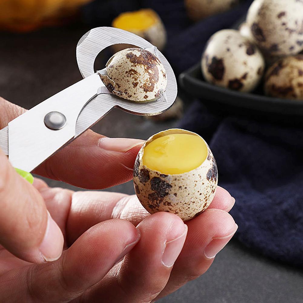 Pombo codorna crack aberto peq - Egg Separator Tool avaliação e preço