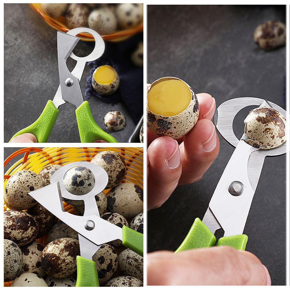 Pombo codorna crack aberto peq - Egg Separator Tool avaliação e preço