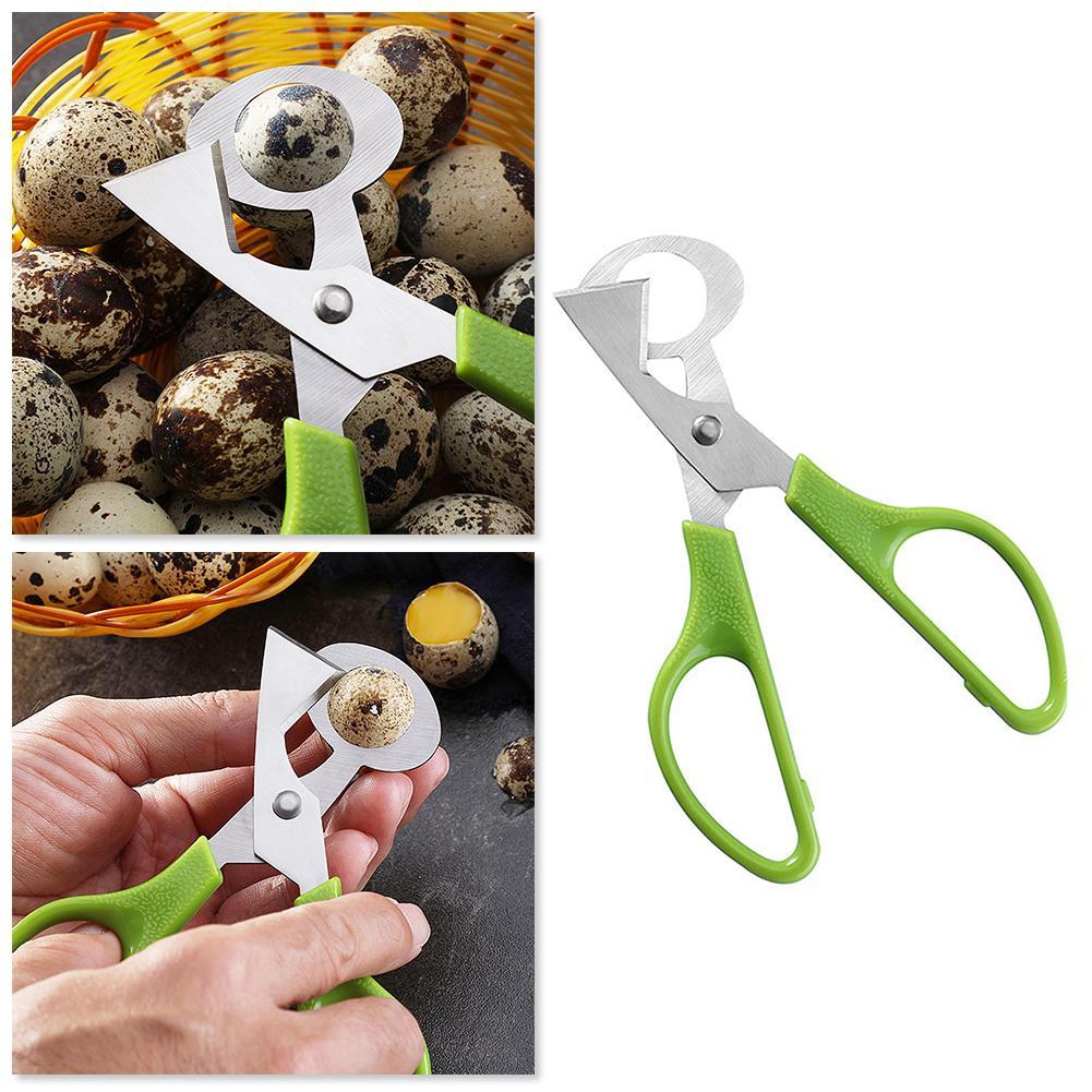 Pombo codorna crack aberto peq - Egg Separator Tool avaliação e preço